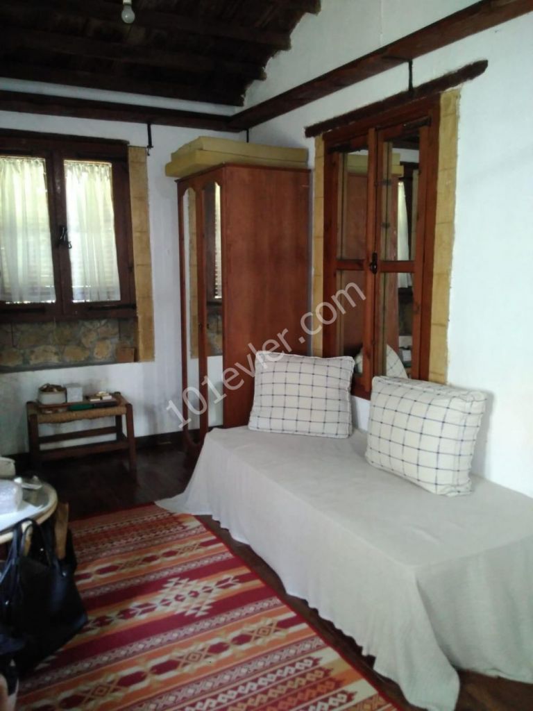 Flat To Rent in Zeytinlik, Kyrenia