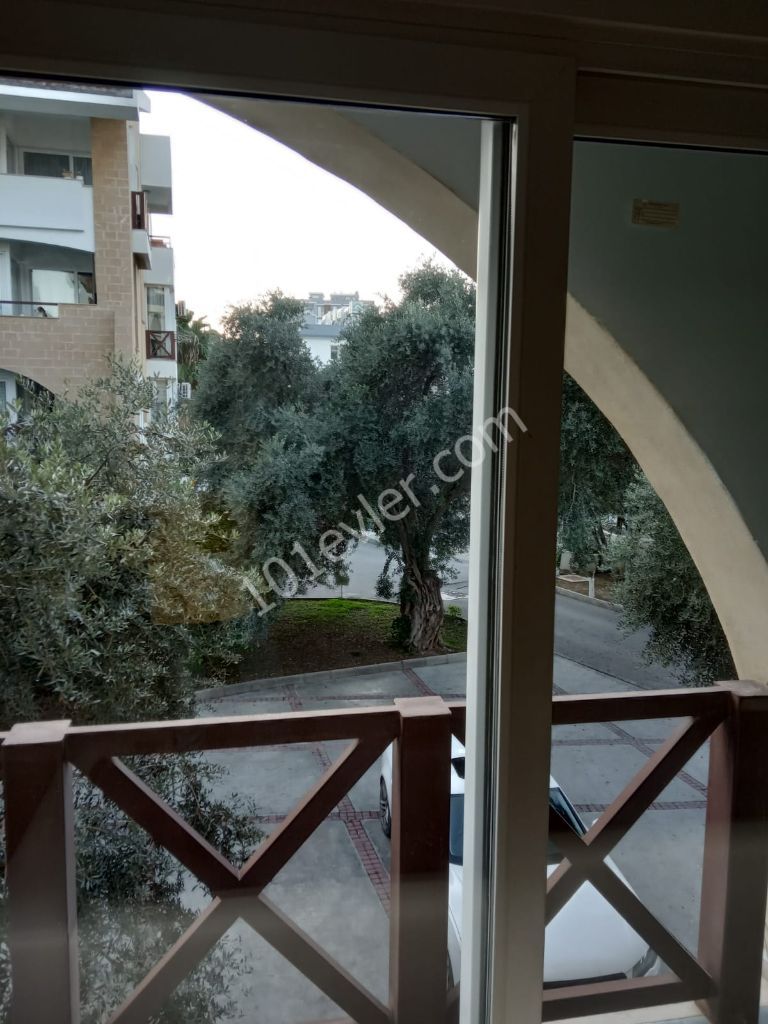 GÜNLÜK  KİRALIK HAVUZLU ZEYTİNLİK AĞAÇLARI İÇERİSİNDE PİA  BELLA OTEL ARKASINDA 1+1 DAİRE