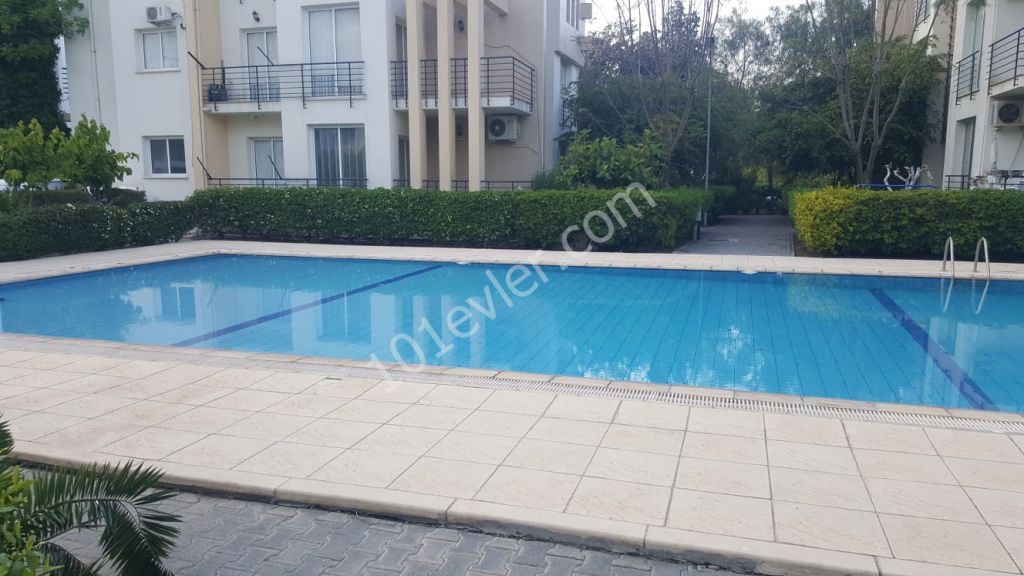 APARTMENT for SALE  3+1  (in a  complex with swimming pool)