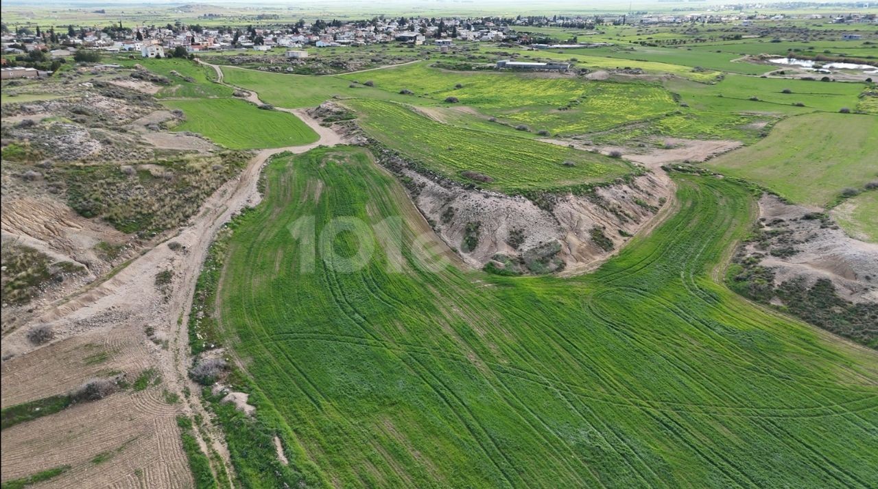 8 Hektar türkisches Widderland stehen zum Tausch in Serdarlı zur Verfügung, 250 m von der Siedlung entfernt