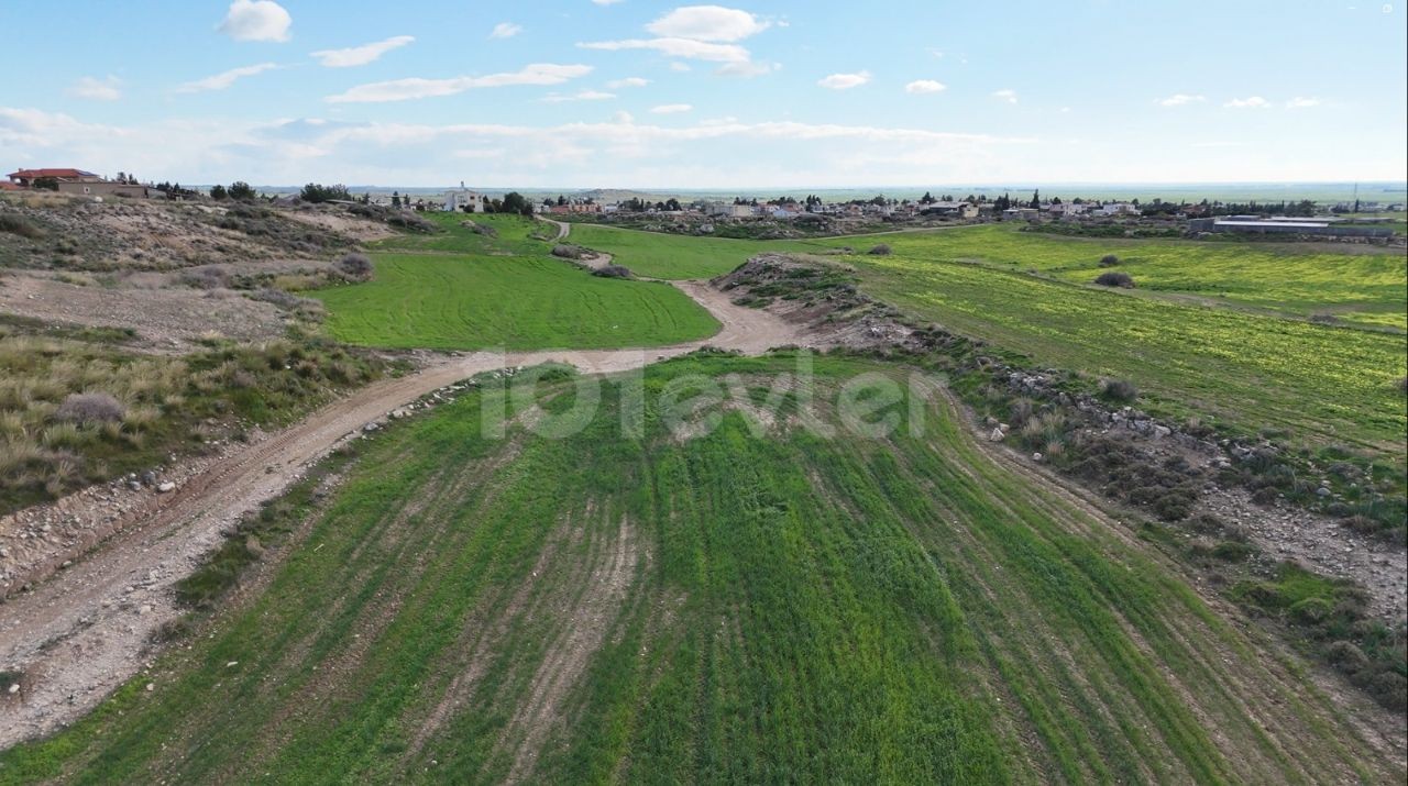 8 Acres of Turkish Ram Land Available for Exchange in Serdarlı, 250m from the Settlement
