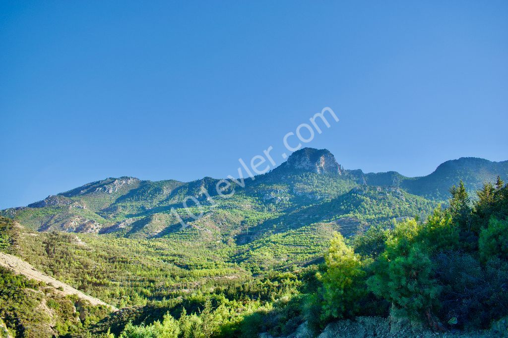 Land for Sale | 610 m2 - 1200 m2  in Girne Çatalköy | Panoramic View