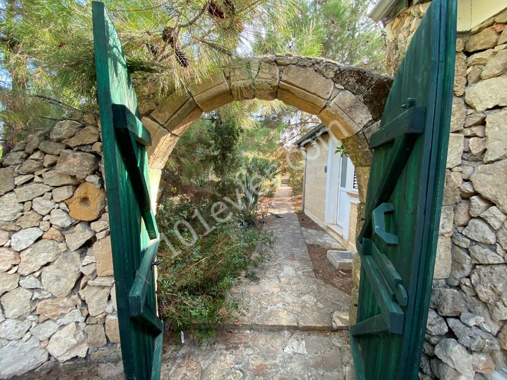 One of its kind 4+1 Solar Eco Villa | In City but located in  Rich Woodland | Kyrenia, Zeytinlik 