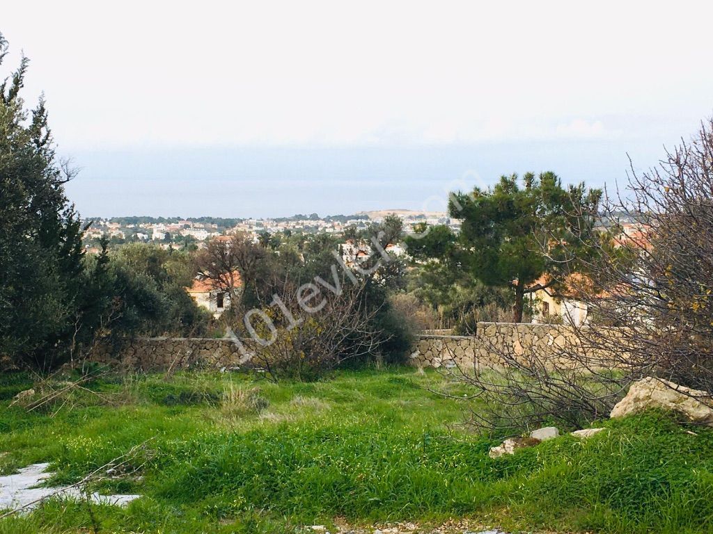 1960sqmts land for SALE at One of the prestigious area of Kyrena/BELLAPAIS.