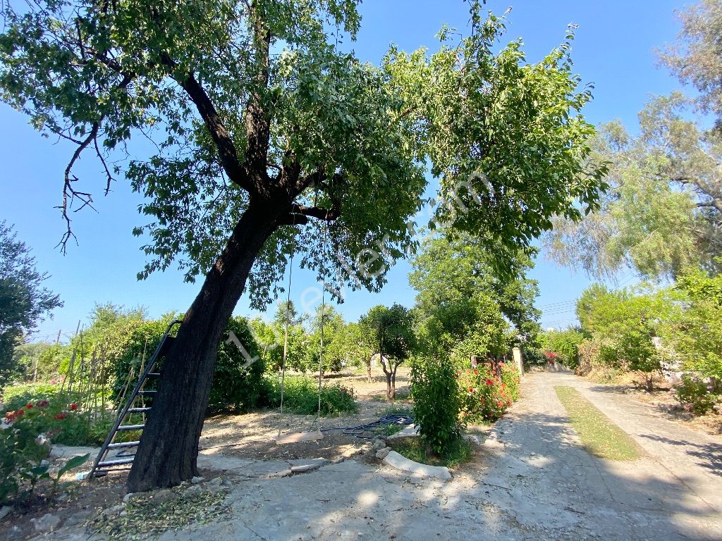 Girne Ozanköy’de Satılık Villa | 3180 m2 Bahçe İçinde | Türk Koçanlı