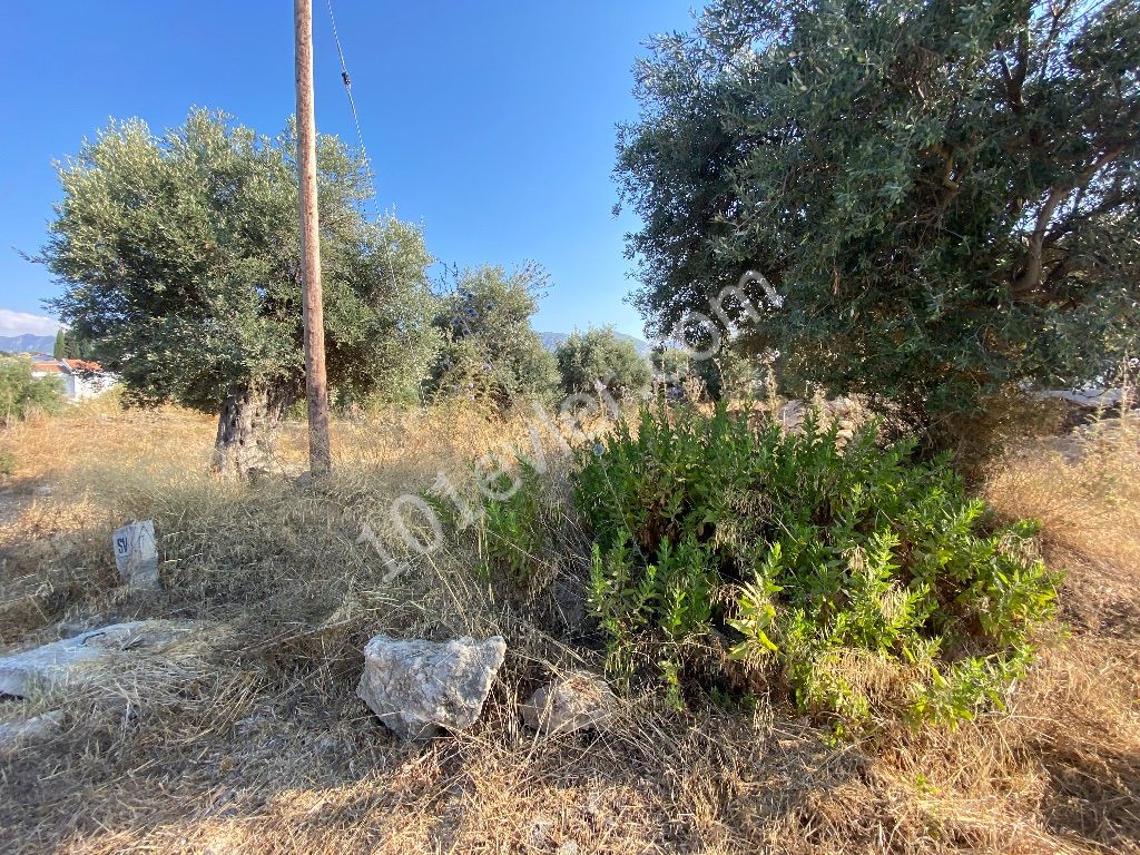 Residential Zoned Plot For Sale in Ozanköy, Kyrenia