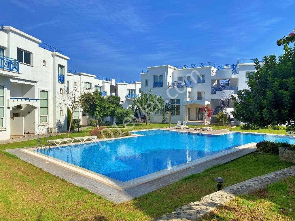 Flat To Rent in Alsancak, Kyrenia