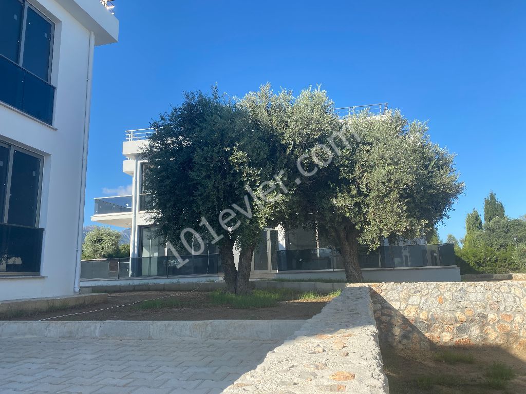 Girne Çatalköy'de 2+1 Kiralık Daire | Full Eşyalı | 80 m2 Teras 