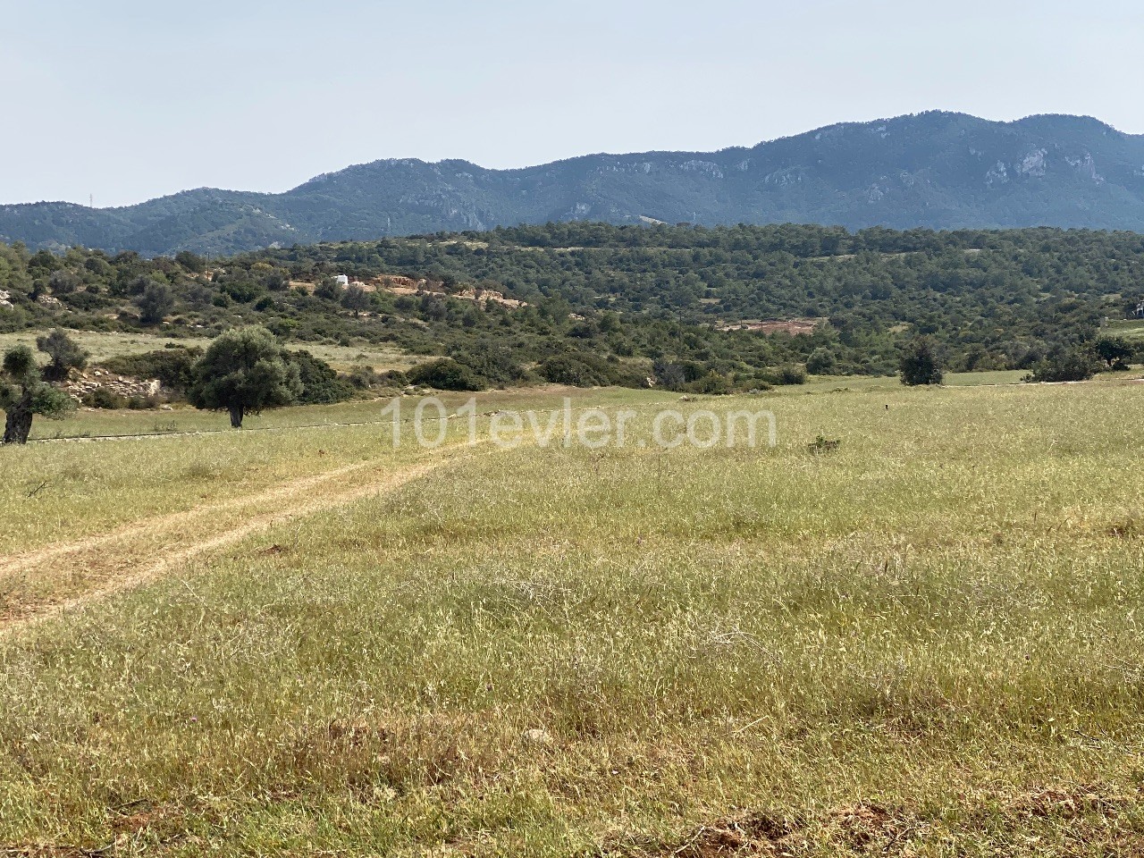 19.500 m2 Land for Sale | Very Suitable for Site Construction | Hasan Uzun Petrol and 500mt Distance from the Main Road | ** 