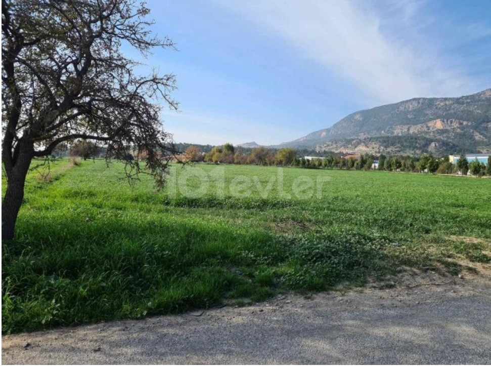 Girne Ağırdağ / Turkish Cob / 7695m2 Land for Sale | ** 