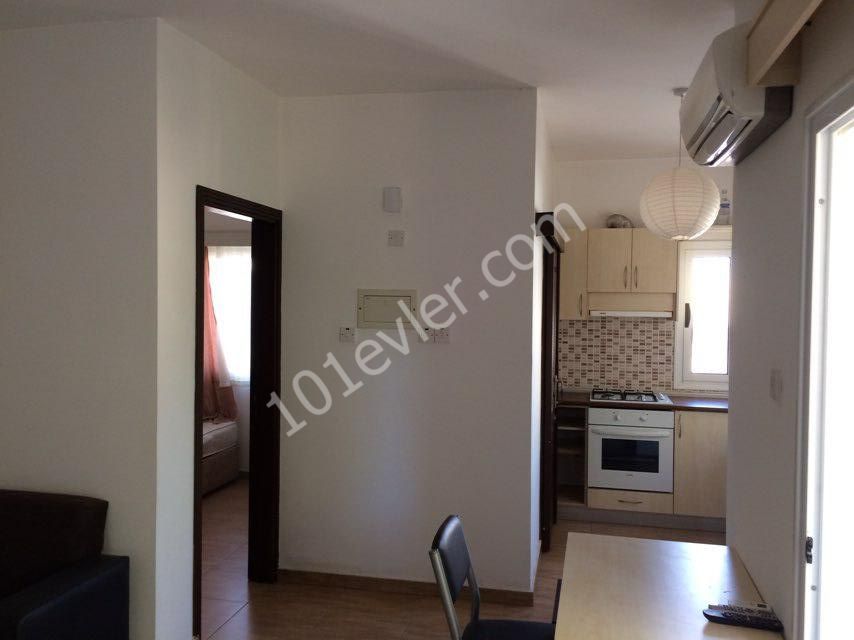 Kiralık 1+1 eşyalı daire Mağusa DAU nun karşısında 9 aylık