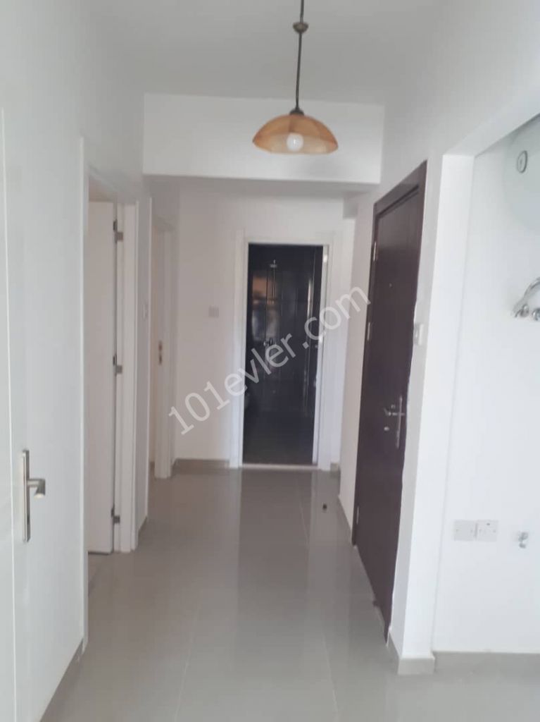 2+1 furnished flat for rent  behind Lemar 