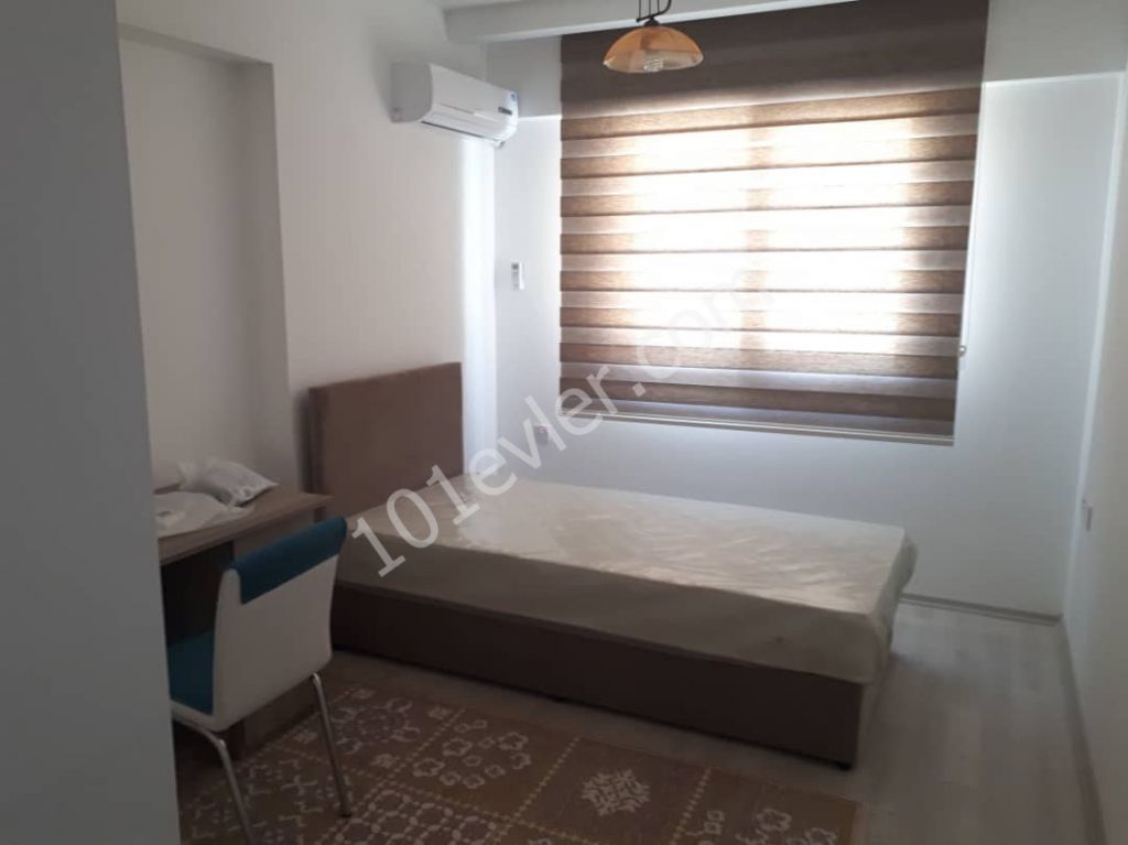 2+1 furnished flat for rent  behind Lemar 