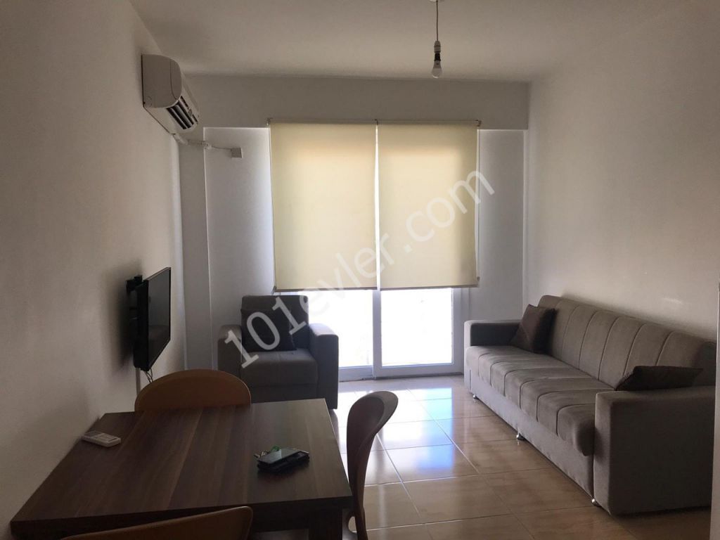 2+1 furnished flat for rent  behind New Lemar 