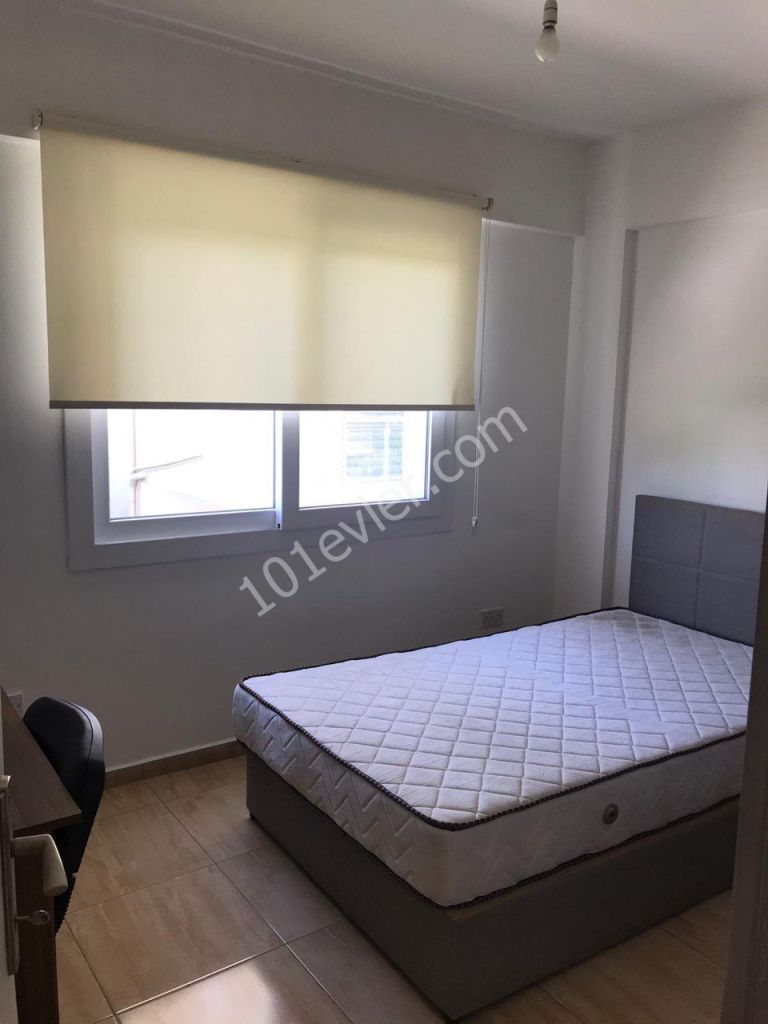 2+1 furnished flat for rent  behind New Lemar 