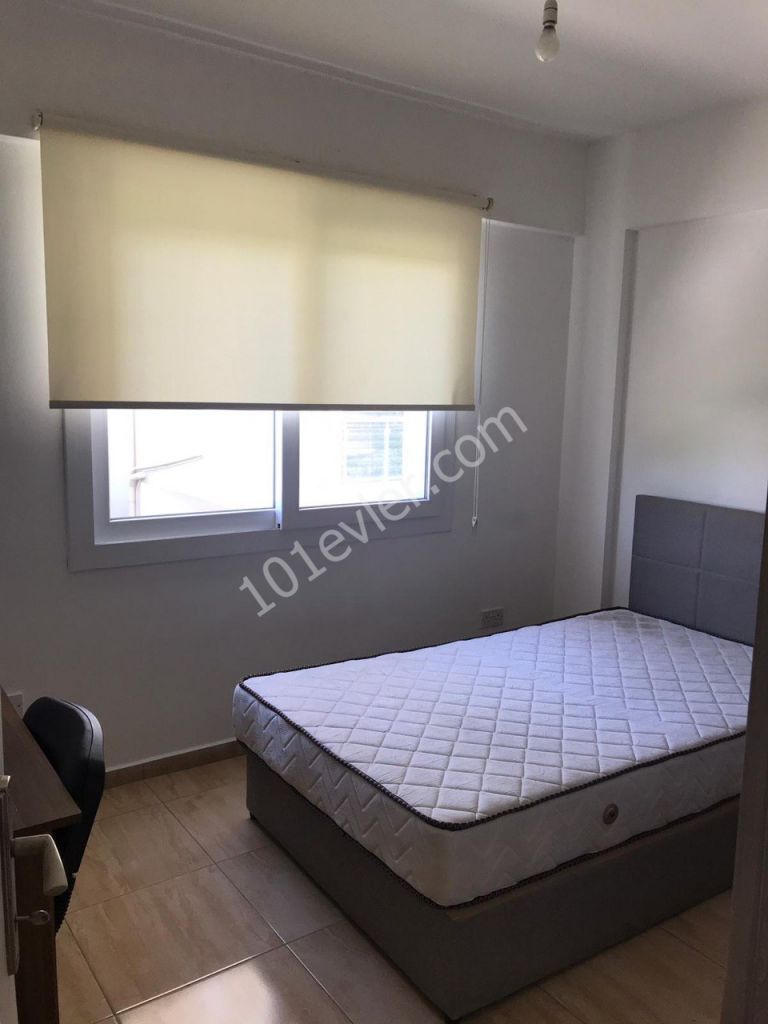 Kiralık  2+1 eşyalı daire Mağusa Merkezde Lemar AVM nin arkasında