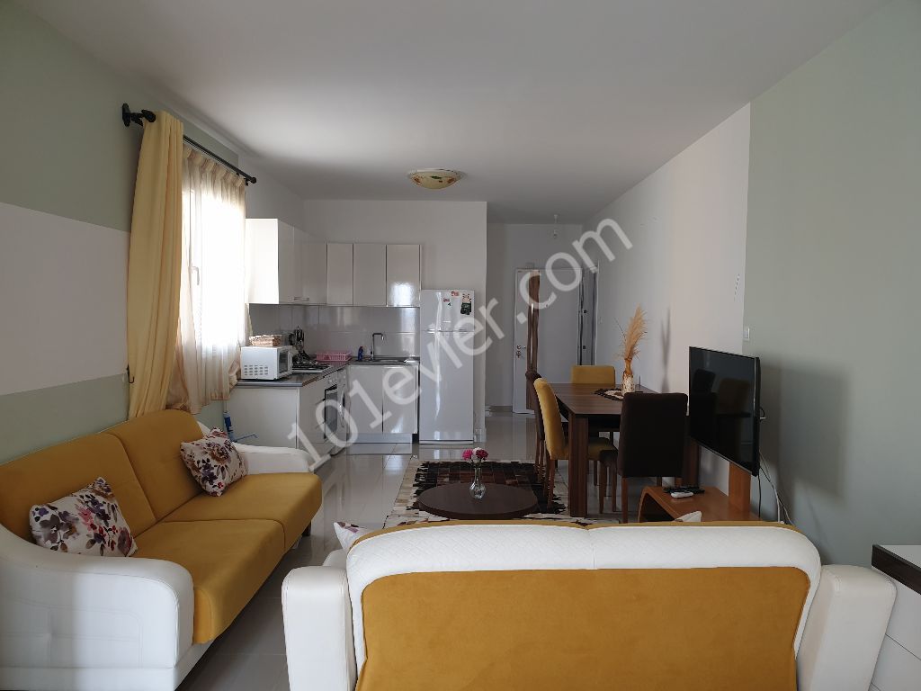 Kiralık  lüks eşyalı Stüdyo daire Longbeachte