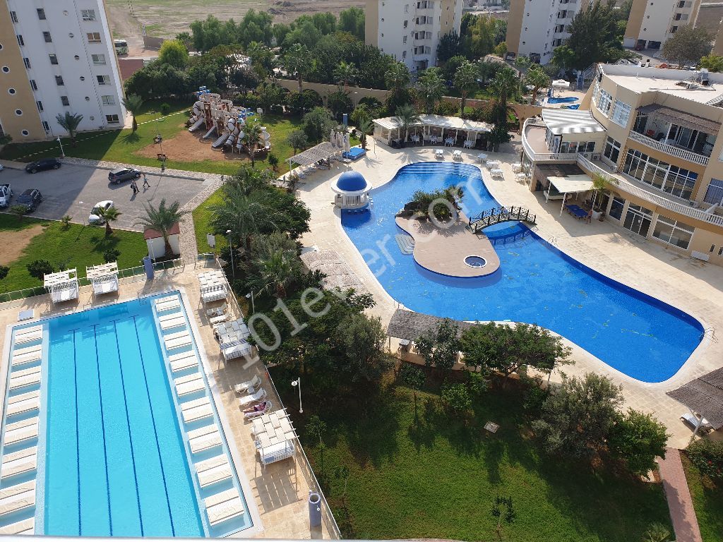 Kiralık  eşyalı Stüdyo daire Longbeachte