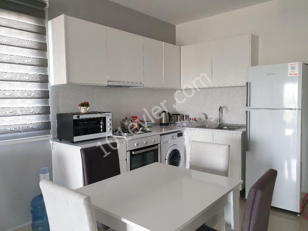 Kiralık  eşyalı Stüdyo daire Longbeachte