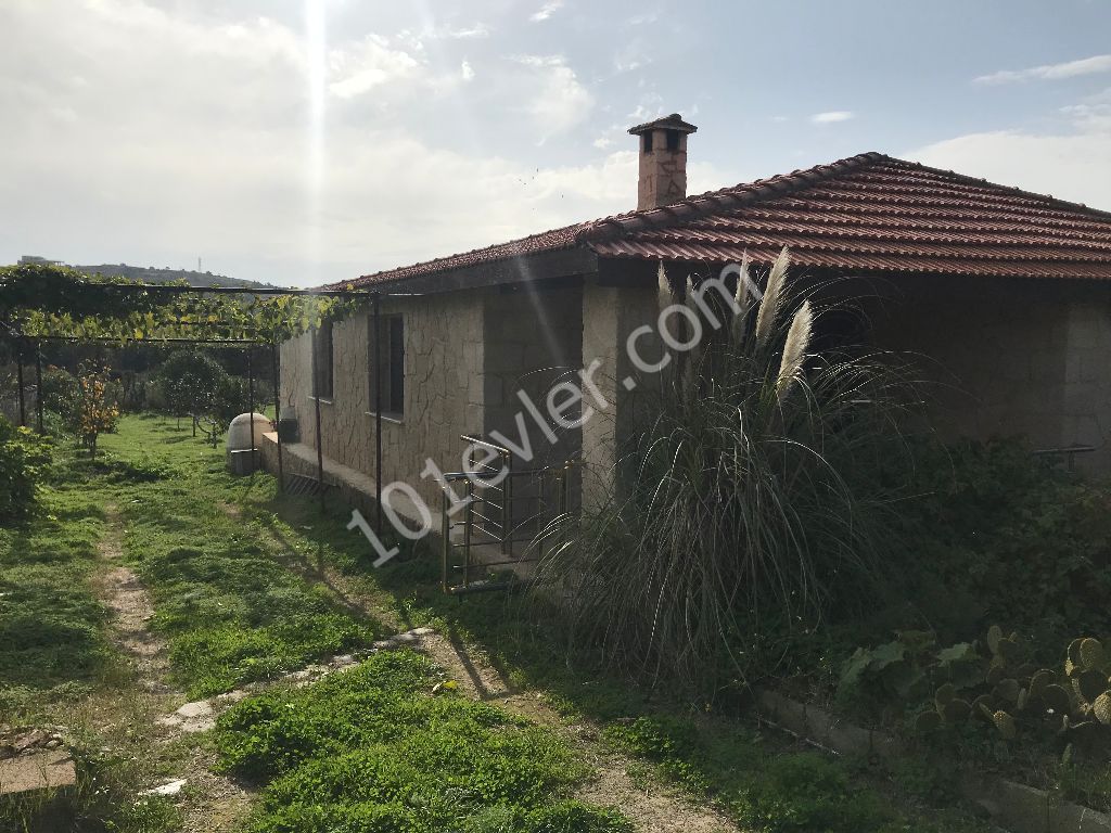 Im Dorf DIPKARPAZ auf einem Grundstück von 1030 m2, in dem etwa 100 Bäume gepflanzt wurden, ist ein wunderbares Haus aus gelbem Stein ** 