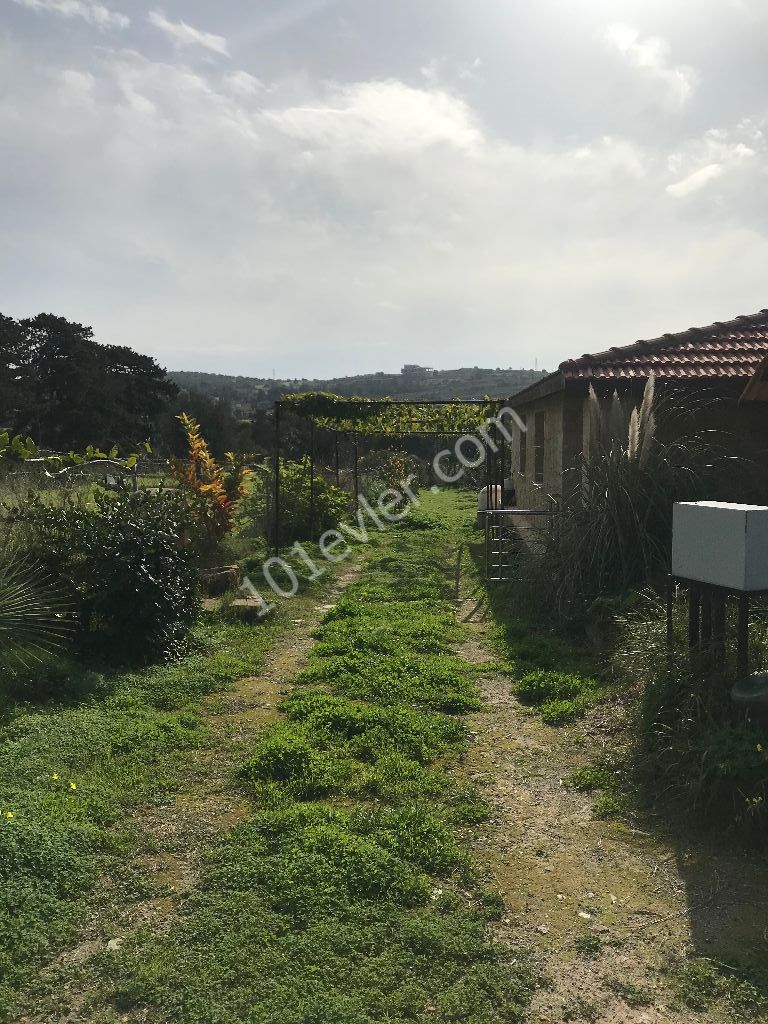 Im Dorf DIPKARPAZ auf einem Grundstück von 1030 m2, in dem etwa 100 Bäume gepflanzt wurden, ist ein wunderbares Haus aus gelbem Stein ** 