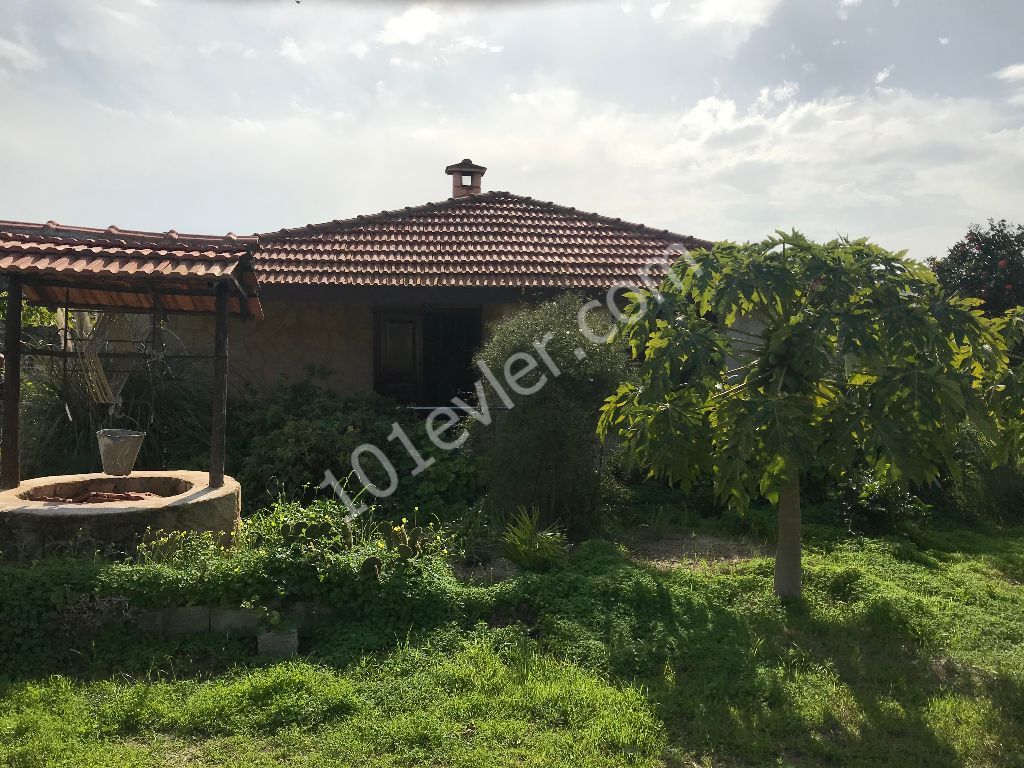 DEC WONDERFUL HOUSE MADE OF YELLOW STONE WITH ABOUT 100 TREES PLANTED IN A PLOT OF 1030 m2 IN DIPKARPAZ VILLAGE ** 