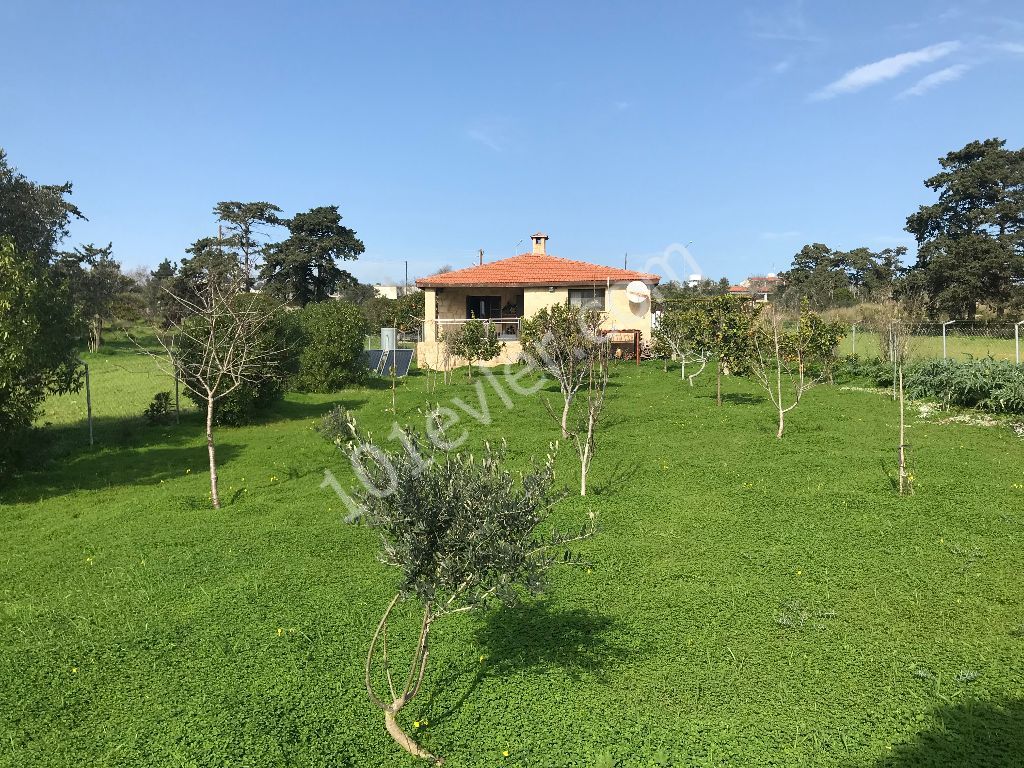 Im Dorf DIPKARPAZ auf einem Grundstück von 1030 m2, in dem etwa 100 Bäume gepflanzt wurden, ist ein wunderbares Haus aus gelbem Stein ** 