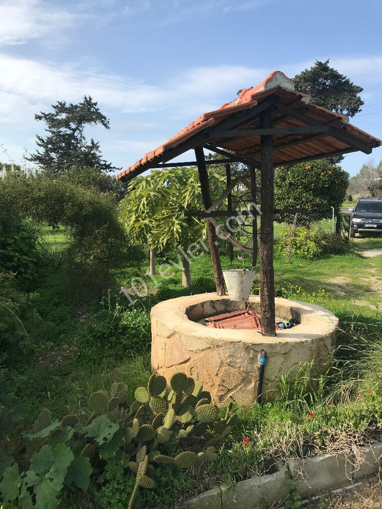 Im Dorf DIPKARPAZ auf einem Grundstück von 1030 m2, in dem etwa 100 Bäume gepflanzt wurden, ist ein wunderbares Haus aus gelbem Stein ** 