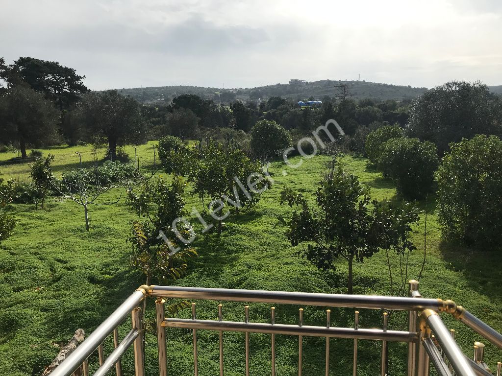 Im Dorf DIPKARPAZ auf einem Grundstück von 1030 m2, in dem etwa 100 Bäume gepflanzt wurden, ist ein wunderbares Haus aus gelbem Stein ** 