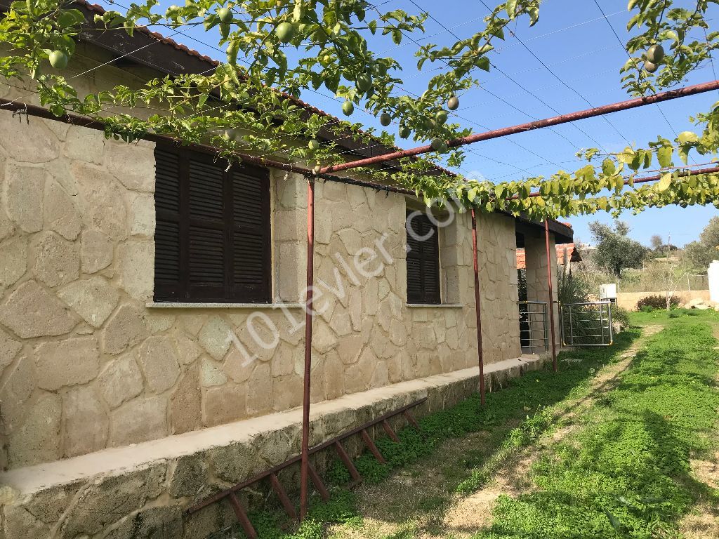Im Dorf DIPKARPAZ auf einem Grundstück von 1030 m2, in dem etwa 100 Bäume gepflanzt wurden, ist ein wunderbares Haus aus gelbem Stein ** 