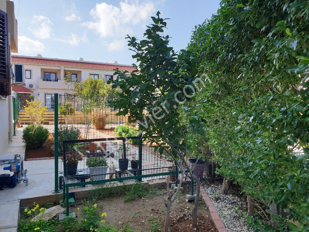 Halb freistehend Kaufen in Yeni Boğaziçi, Famagusta