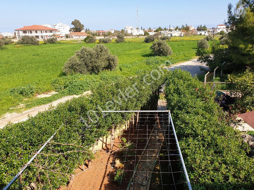 Halb freistehend Kaufen in Yeni Boğaziçi, Famagusta