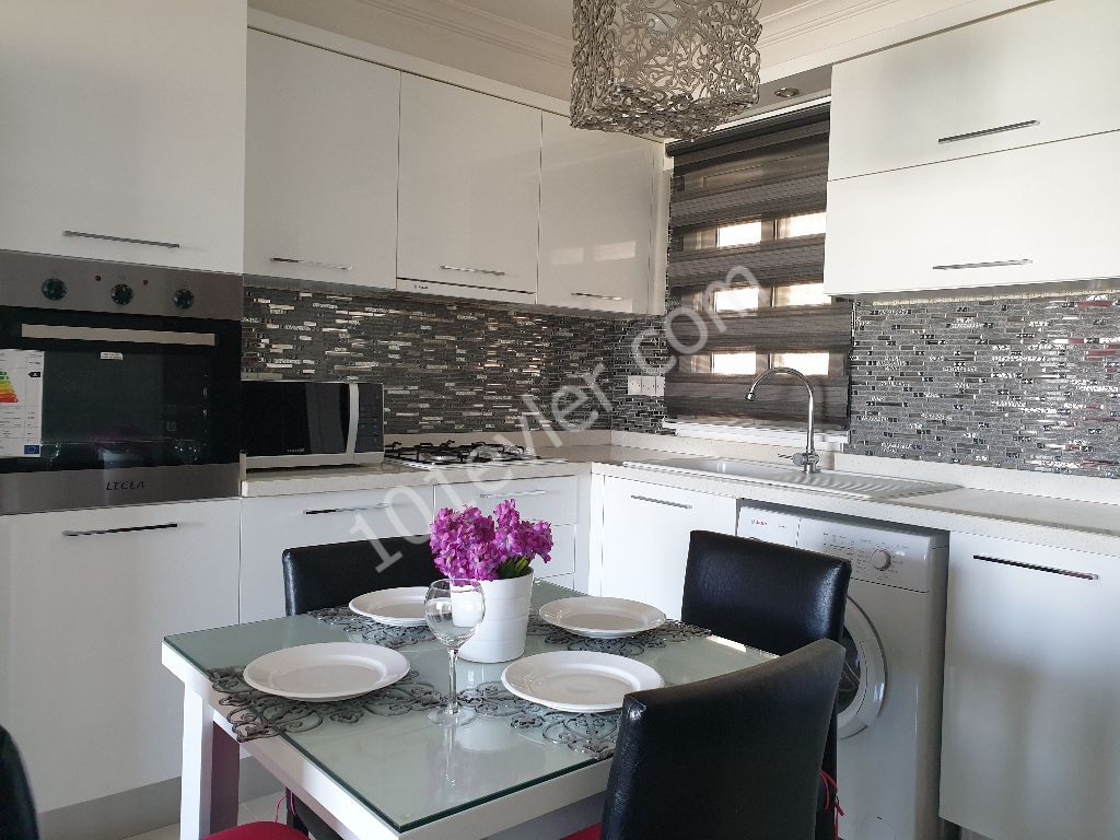 kiralık 2+1   eşyalı daire  salamis yolunda