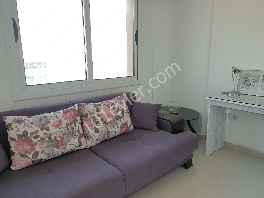 kiralık 2+1   eşyalı daire  salamis yolunda