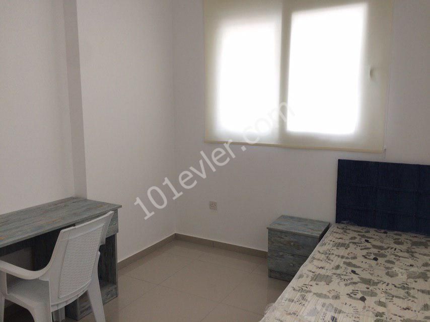 3+1 flat for rent furnished mağusa kaliland 