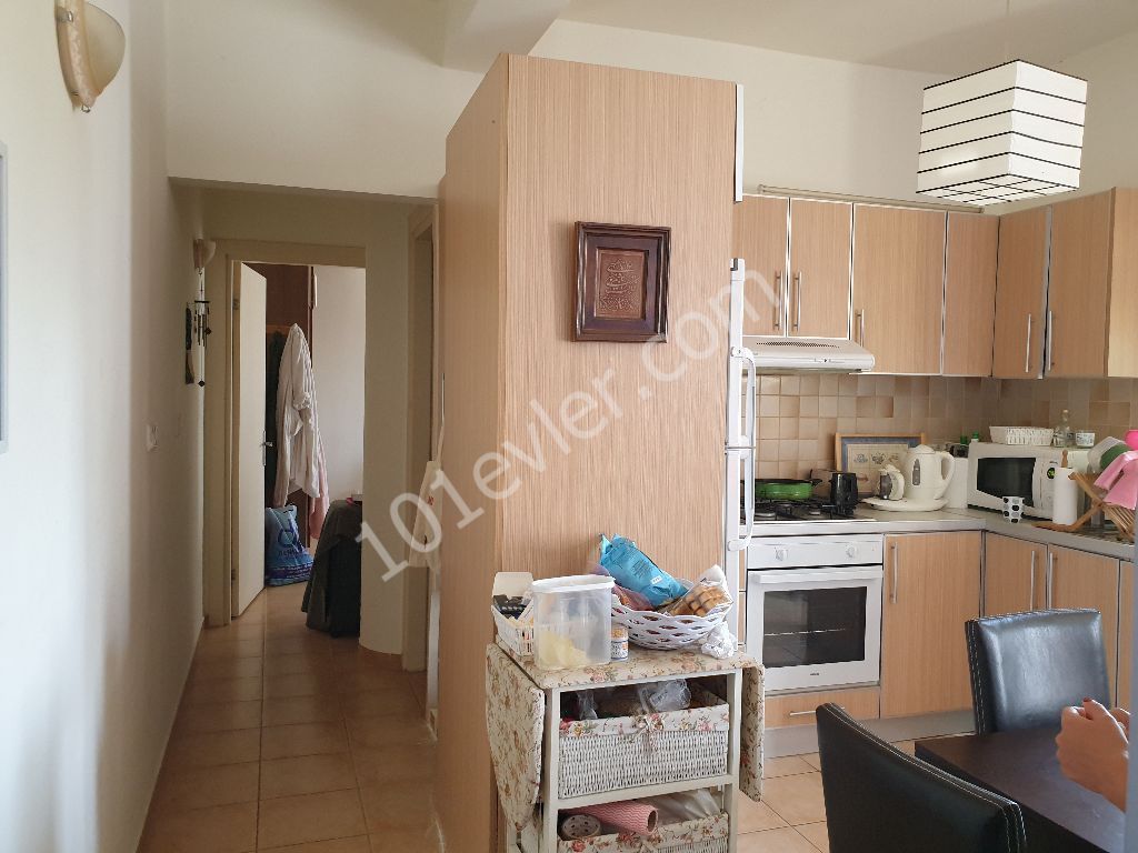 satılık 1+1  eşyalı daire mağusa merkezde