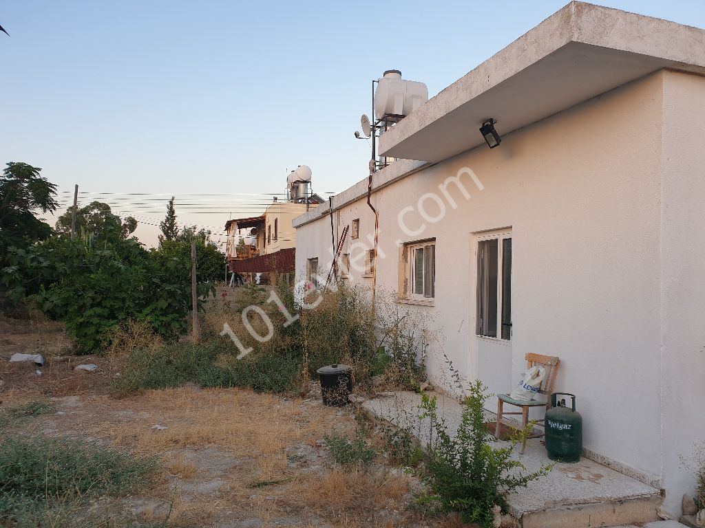 3+1 detached one-storey garden house for sale in famagusta çayrovada ** 