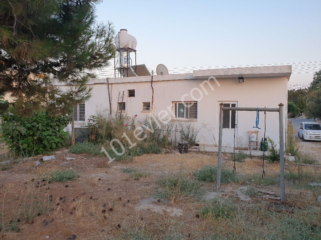 3+1 detached one-storey garden house for sale in famagusta çayrovada ** 