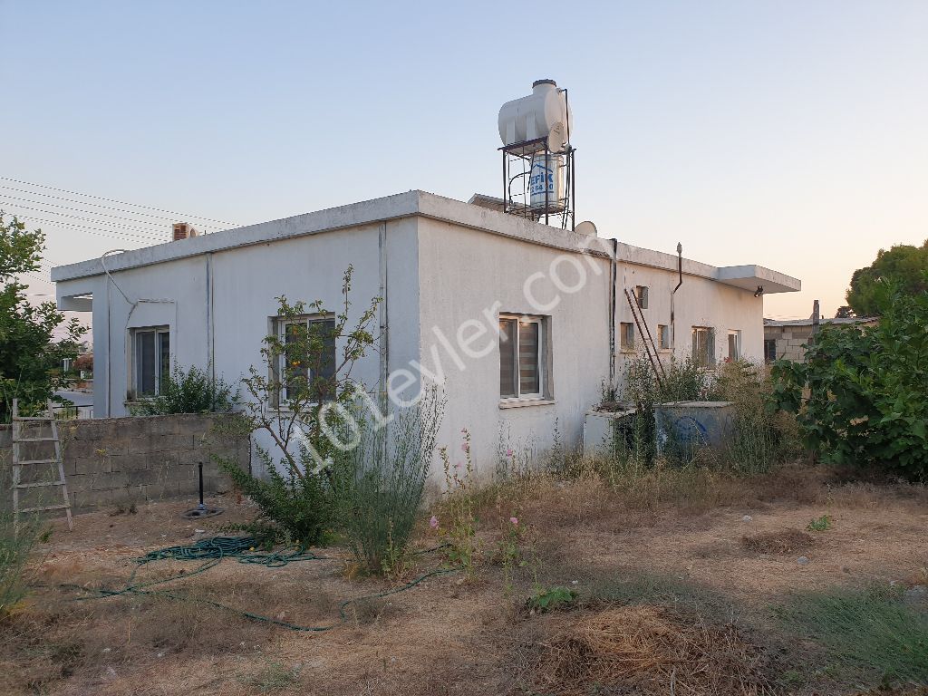 3+1 detached one-storey garden house for sale in famagusta çayrovada ** 