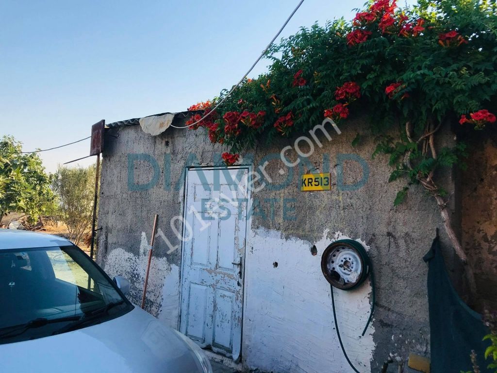 Detached House For Sale in İskele Merkez, Iskele