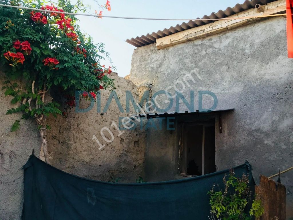 Einfamilienhaus Kaufen in İskele Merkez, Iskele