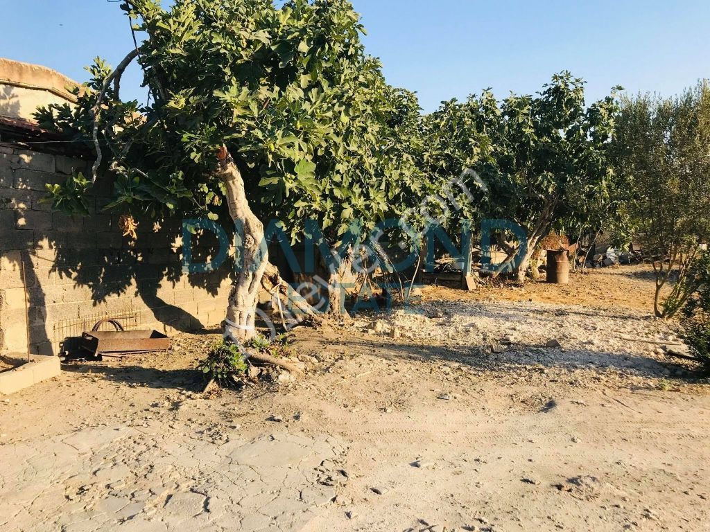 خانه مستقل برای فروش in İskele Merkez, ایسکله