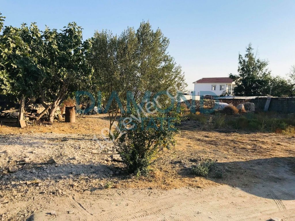 Detached House For Sale in İskele Merkez, Iskele