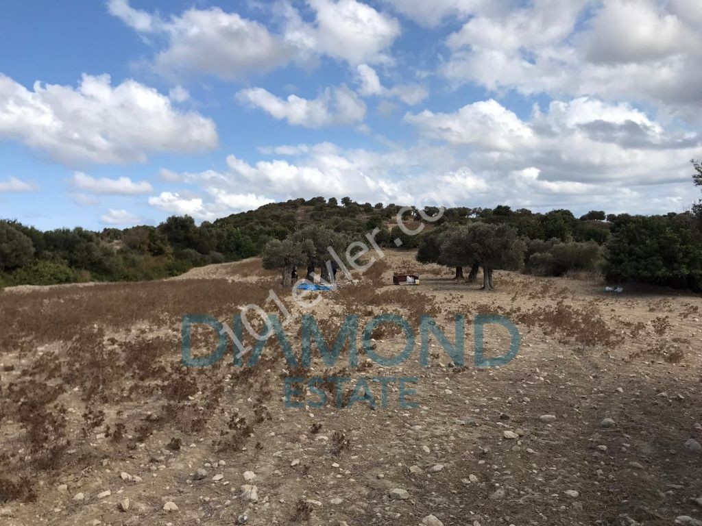 A Field for Sale From Sipahi to Kaleburnu Dec ** 