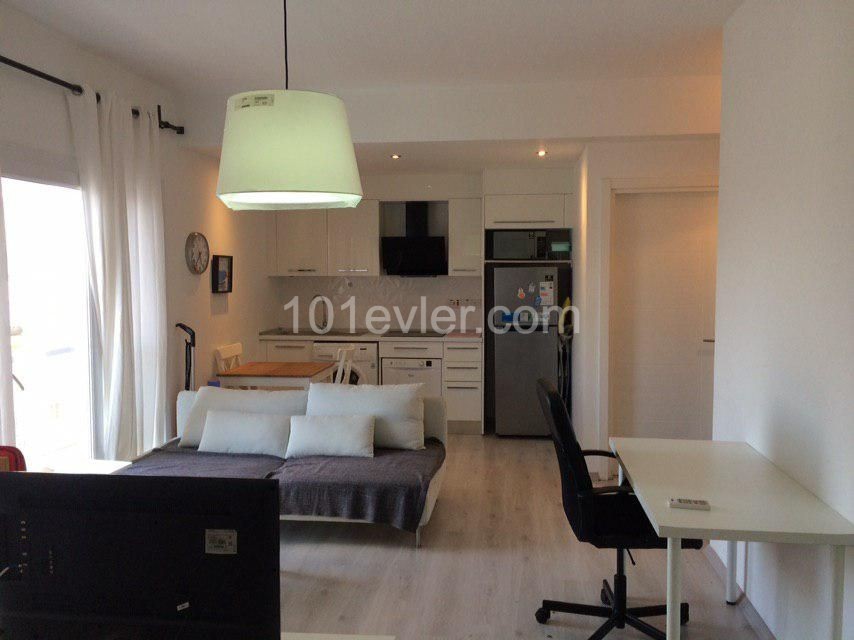 Furnished Studio Apartment for Rent in Gülseren, Famagusta