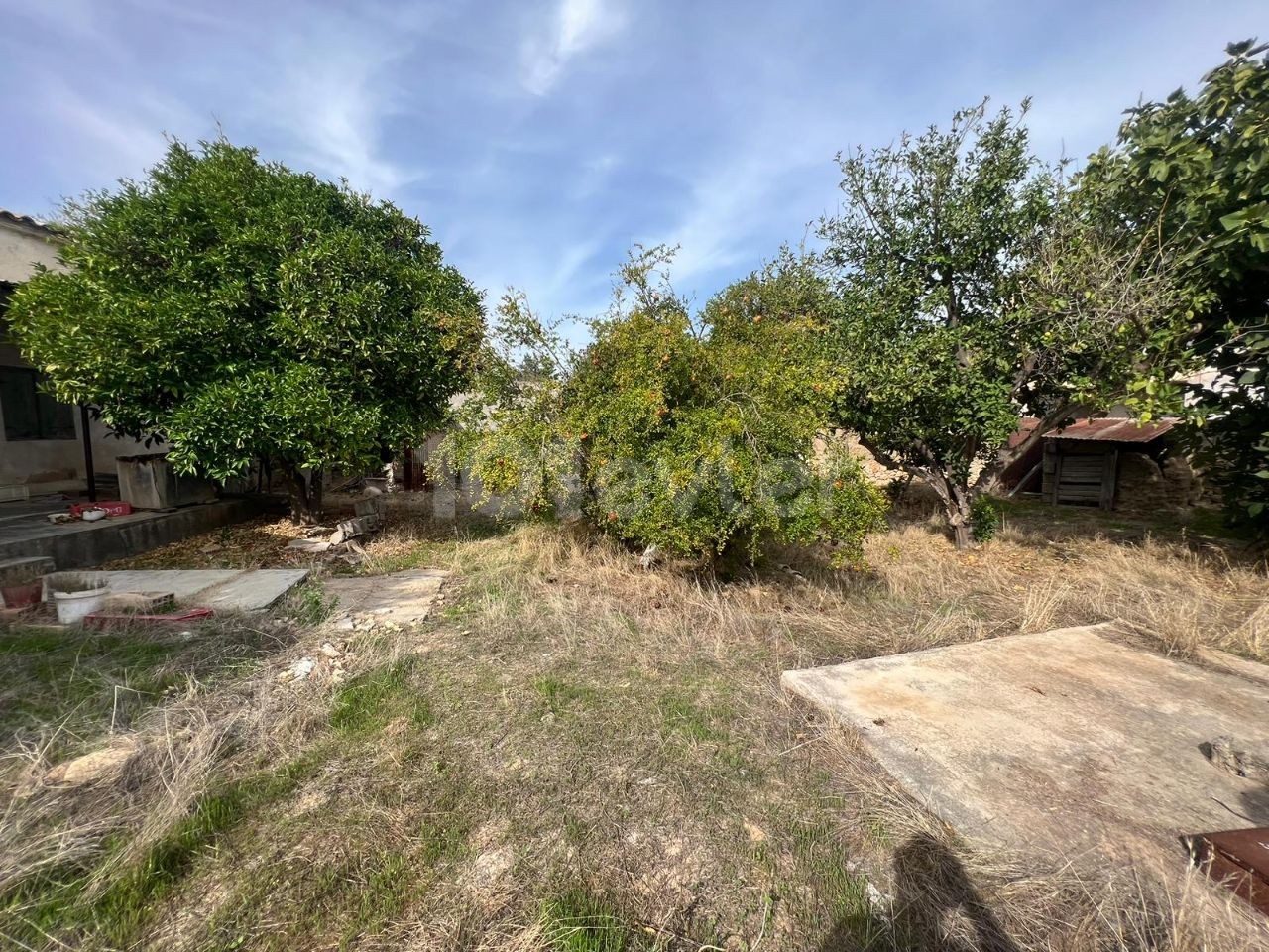 Einfamilienhaus Kaufen in Akova, Famagusta