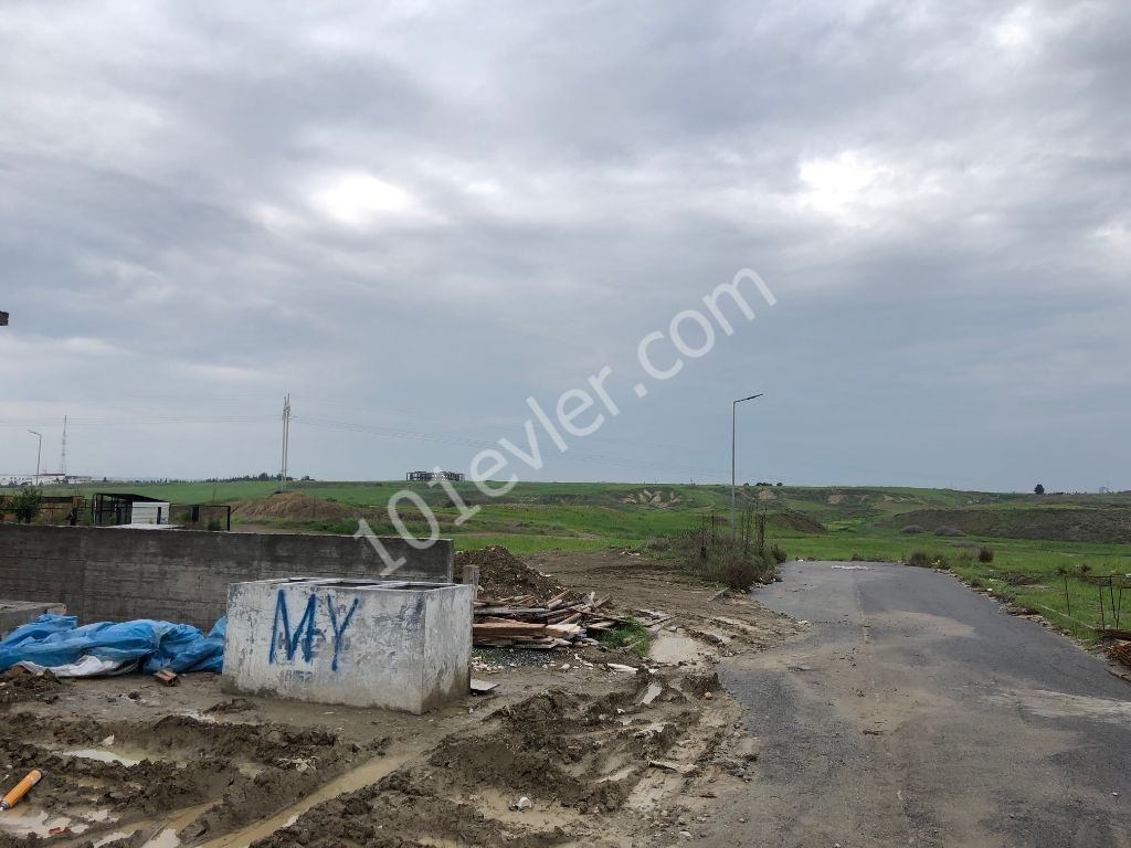 Halb freistehend Kaufen in Hamitköy, Nikosia