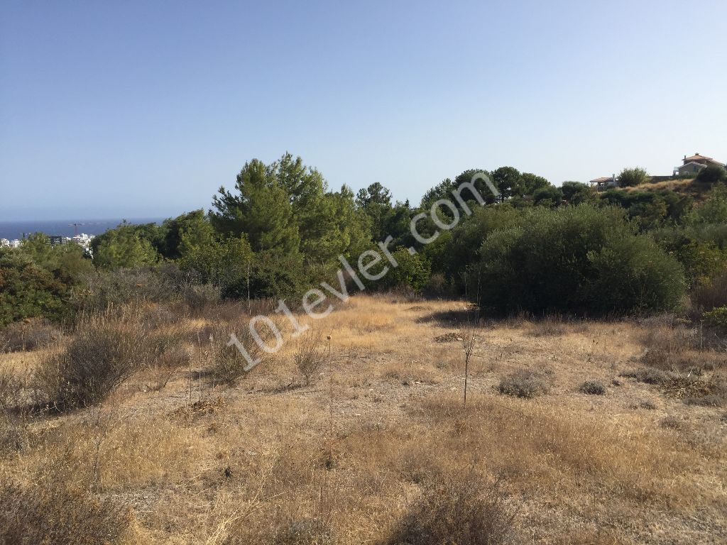 Residential Zoned Plot For Sale in Zeytinlik, Kyrenia