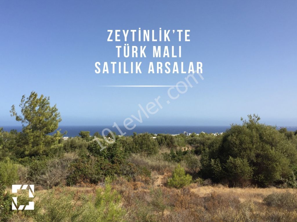 Zeytinlik'in Yeşil Eteklerinde Muhteşem Manzaraya Sahip Villalık Arsalar