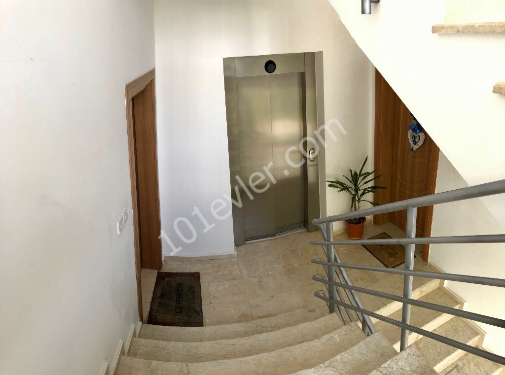 Geräumige, hochwertige 3+1 Wohnung in Nikosia ORTAKÖY ! ** 